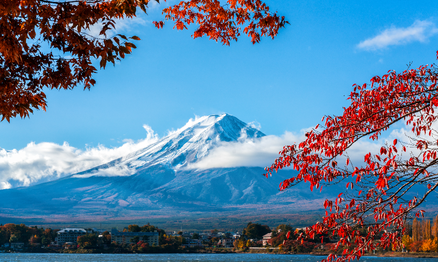 Mount Fuji, Japan from Lake Kawaguchiko in Autumn