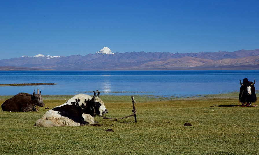 Mt Kailash Mansarovar Yatra Ex Lucknow