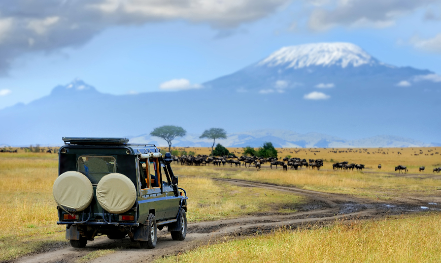 Safari game drive with the wildebeest, Masai mara reserve in Kenya, Africa