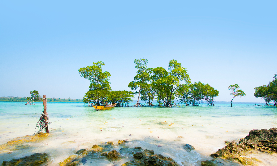 Stunning view of Havelock Island Beach, beautiful tree in the sea water, Andaman & Nicobar Islands.