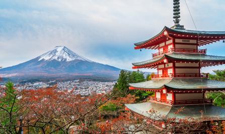 Hakone Discovery, Gateway to Mt. Fuji 3Days