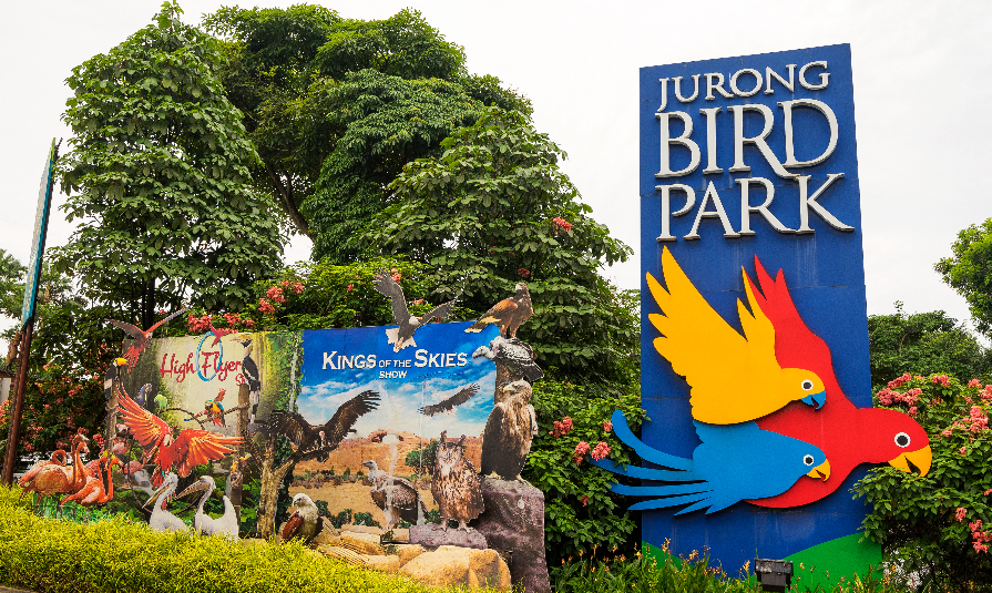 Singapore Bird Park Sentosa(3N&4D) | Kantipur Holidays