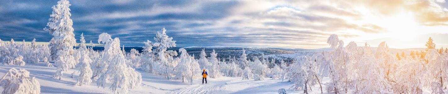 Idyllic panoramic view of young man cross-country skiing on a track in beautiful white winter wonderland scenery in Scandinavia with scenic golden evening light at sunset in winter, northern Europe