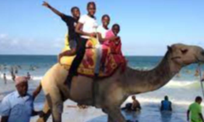 Camel ride in japan