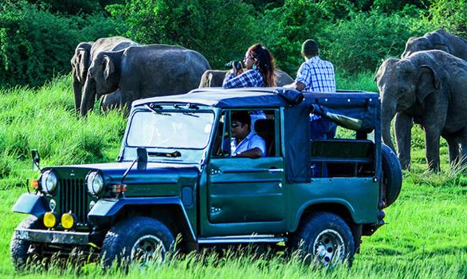 Essence of Sri Lanka – Wildlife