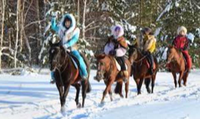 Horse Riding in Russian federation