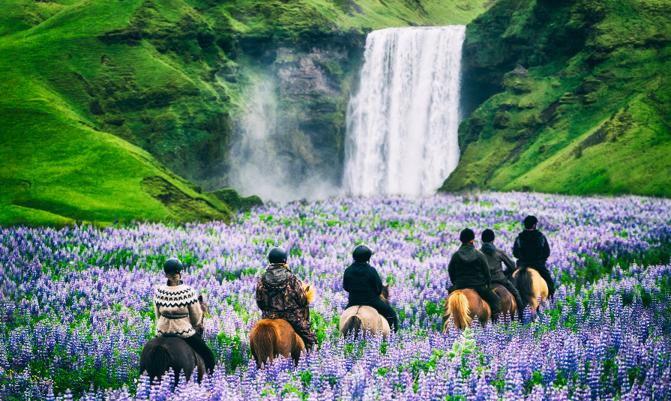 Horse Riding in Water fall side