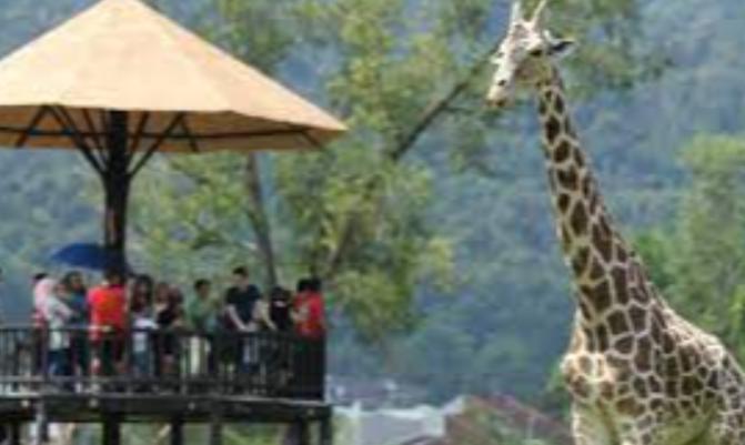 Zoo in Malaysia