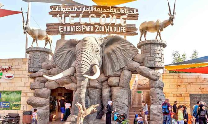 zoo, Dubai.