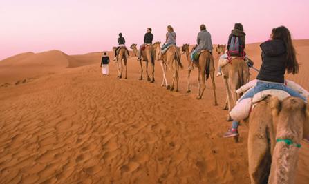 Camel Ride