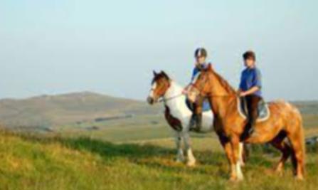 Horse Riding