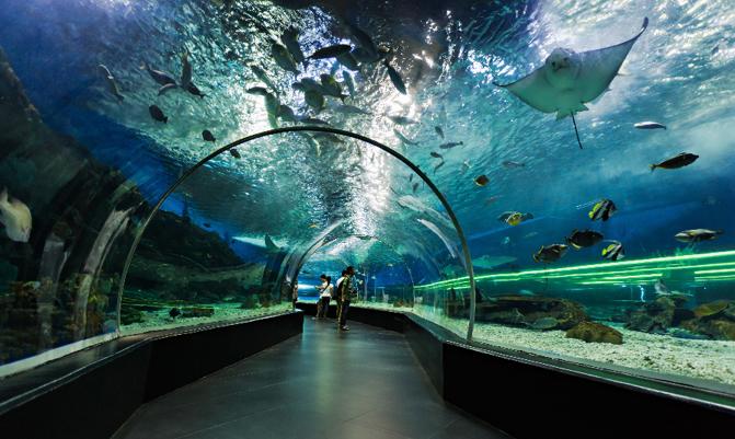 Altaltis Aquarium and Underwater Zoo of the Mall of Emirates. 