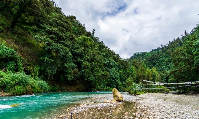 Green Forest and Blue Waters around Thimphu Chu River at Jigme Dorji National Park