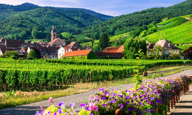 Picturesque countryside of Alsace region- famous "vine route" France. Husseren les chateaux village