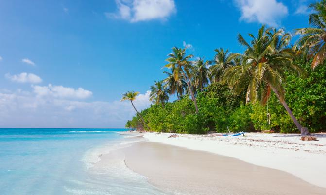 Scenic view of Wild idyllic Beach at Maldives island Fulhadhoo with white sandy beach and sea and curve palm.