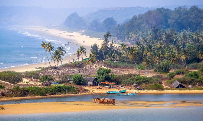 Tropical beach in Goa on a background of palm trees