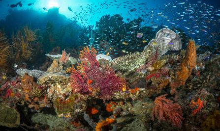 . Great Barrier Reef Marine Park
