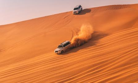 Desert Safari